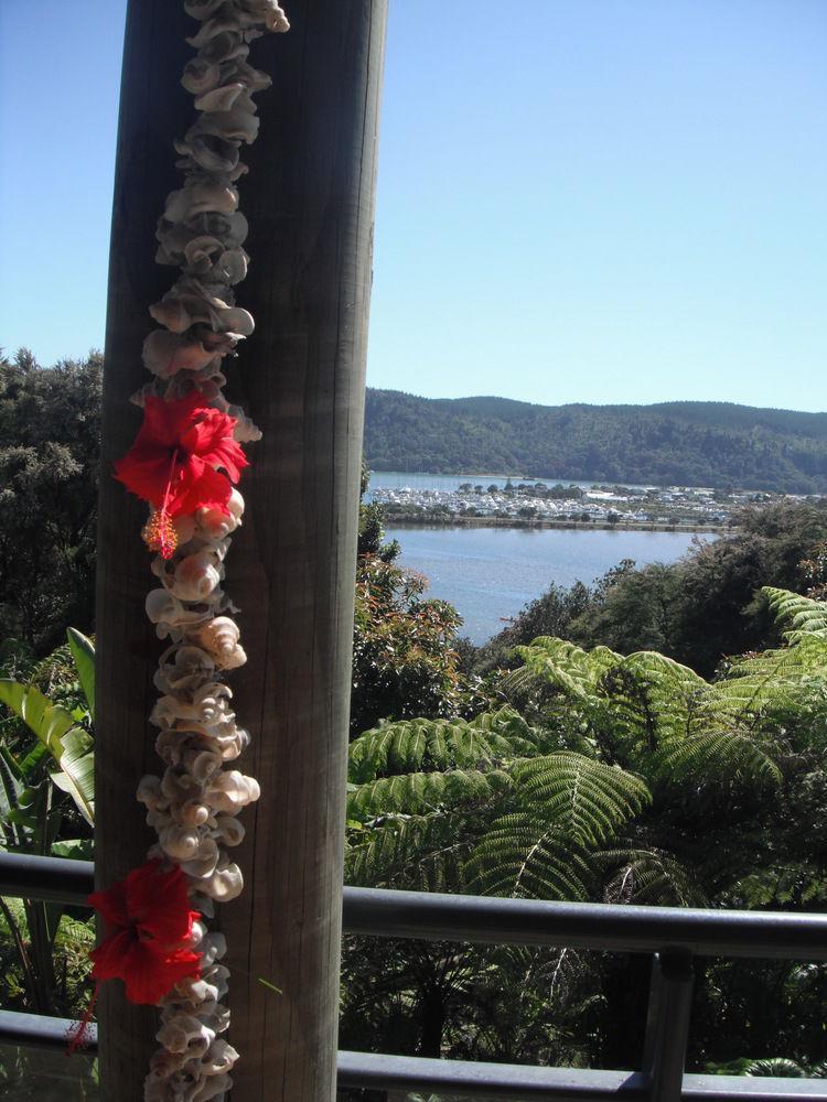 Whangamata Vistas B&B Buitenkant foto